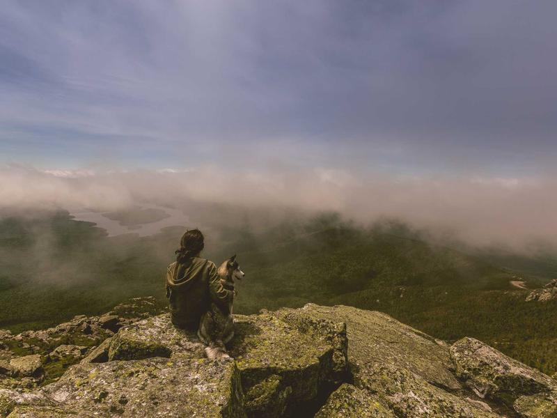 Рамно земјиште - Гевгелија - Земјиште, Гевгелија